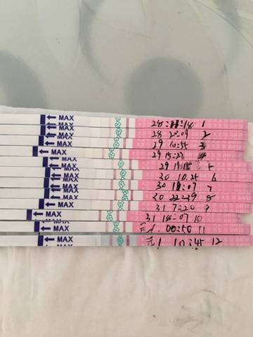 journal_insert_pic_638094636