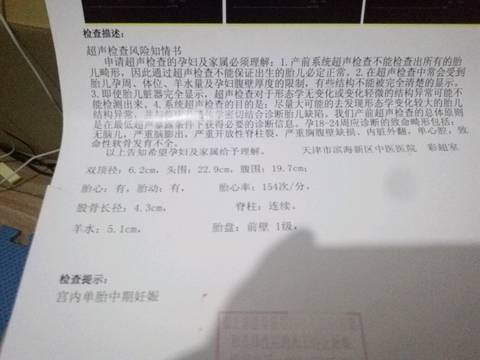 journal_insert_pic_638353279