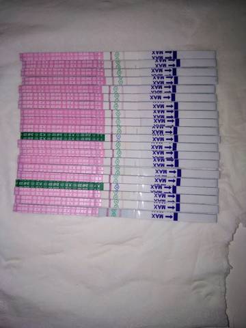 journal_insert_pic_638775614