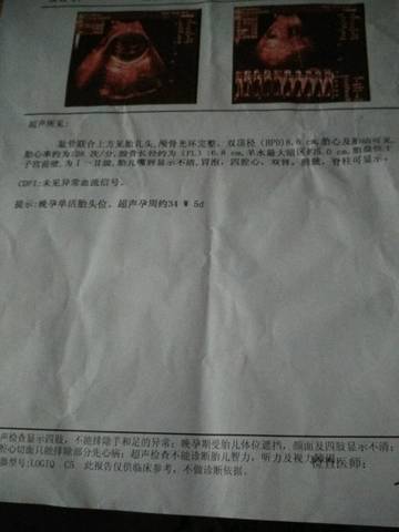 journal_insert_pic_640434249