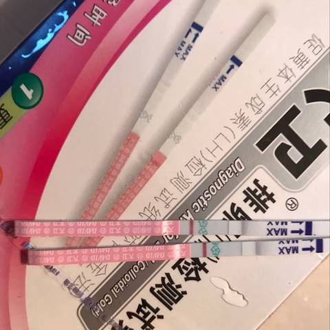 journal_insert_pic_641554904