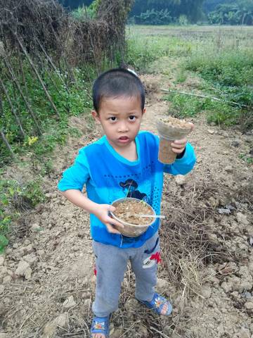 journal_insert_pic_642178800