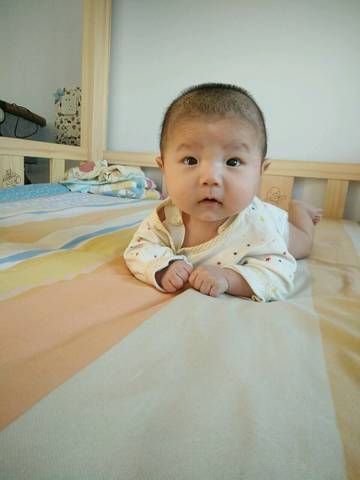 journal_insert_pic_644160135