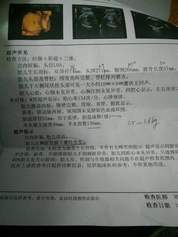 journal_insert_pic_645299951