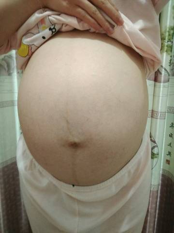 journal_insert_pic_645622840