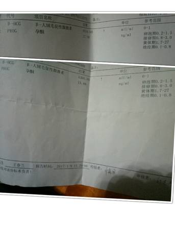 journal_insert_pic_646389642