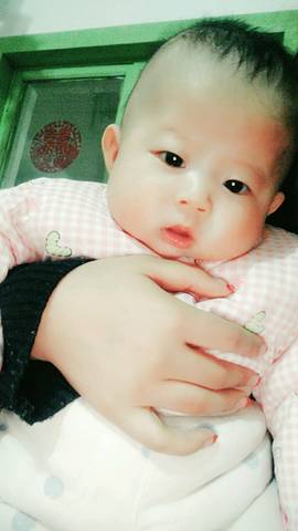 journal_insert_pic_646637419