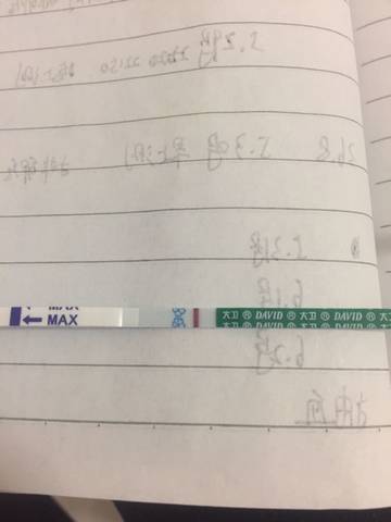 journal_insert_pic_647833299