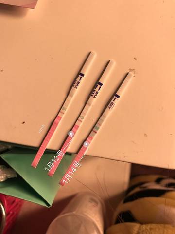 journal_insert_pic_647670317