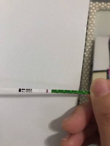 journal_insert_pic_648393481