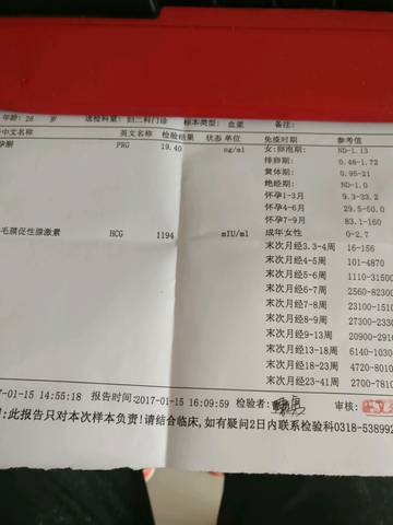 journal_insert_pic_648816795