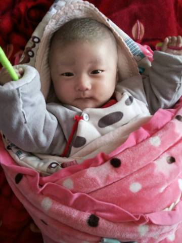 journal_insert_pic_649836245