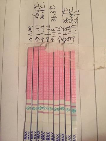 journal_insert_pic_649841463