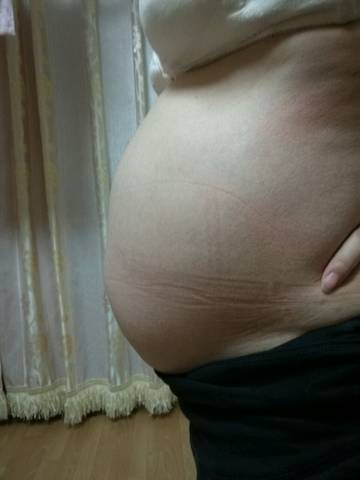 journal_insert_pic_649477320