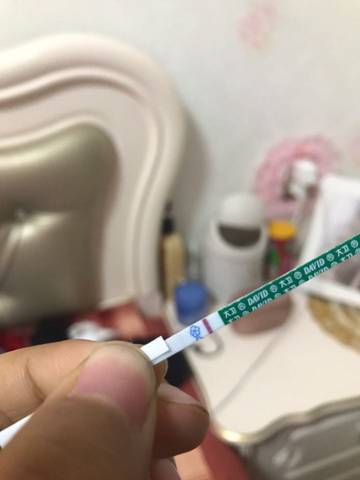journal_insert_pic_649392133