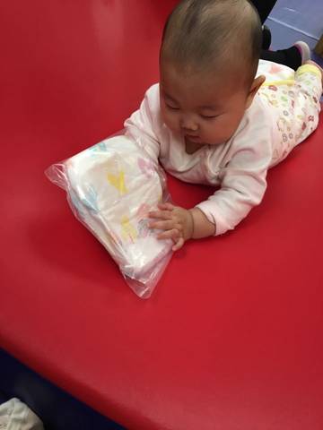 journal_insert_pic_650034341