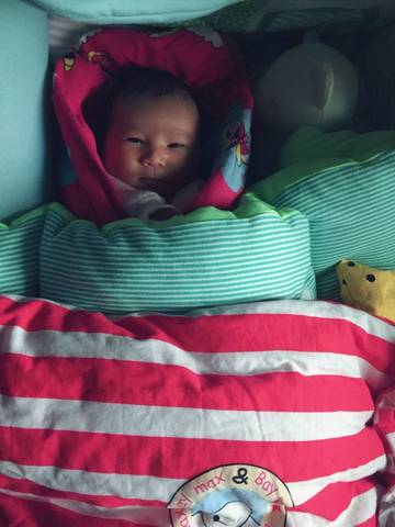 journal_insert_pic_650517923