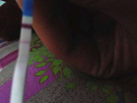 journal_insert_pic_650731323