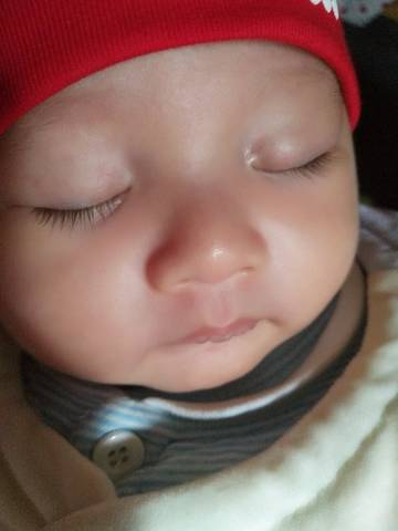 journal_insert_pic_651500249