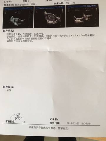 journal_insert_pic_651511072