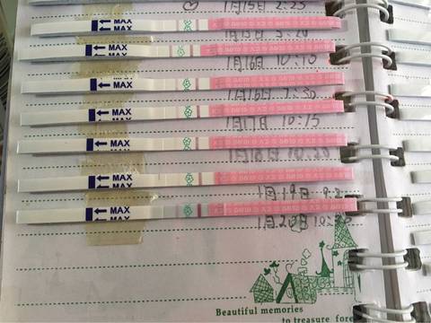 journal_insert_pic_651674735