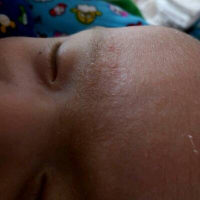 journal_insert_pic_652335174