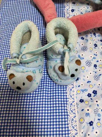 journal_insert_pic_653497018