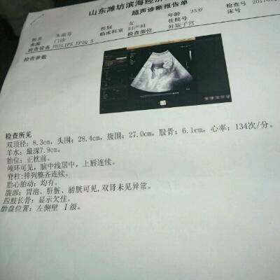 journal_insert_pic_654767088