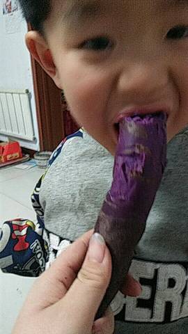 journal_insert_pic_654795863