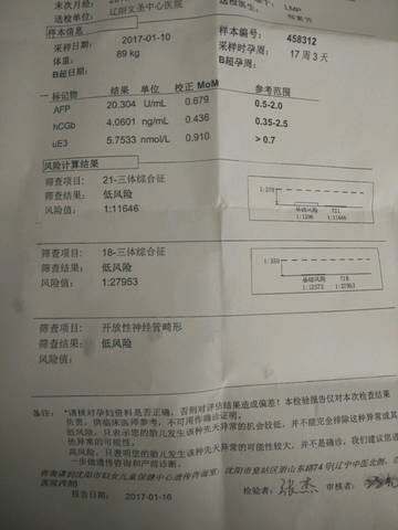 journal_insert_pic_654617615