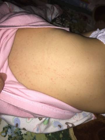 journal_insert_pic_655491690