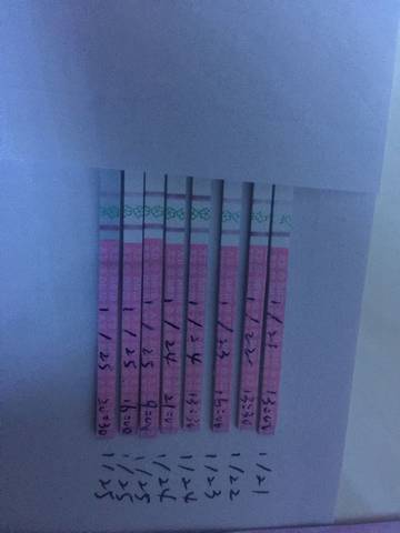 journal_insert_pic_655706325