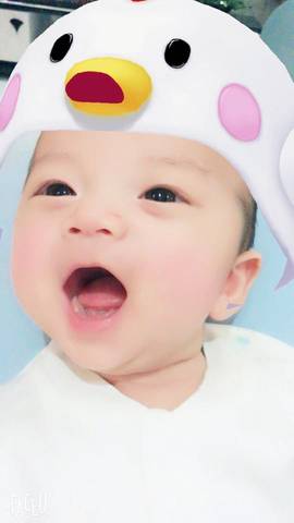 journal_insert_pic_661072639