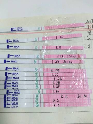 journal_insert_pic_661691299