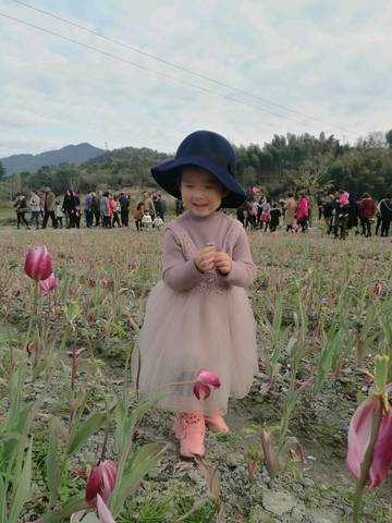 journal_insert_pic_661492932