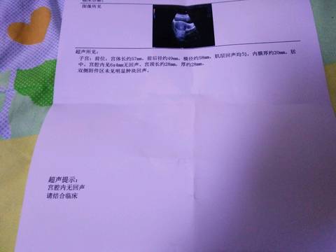 journal_insert_pic_661766730