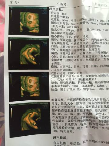 journal_insert_pic_662686320