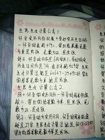 journal_insert_pic_662410870