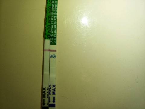 journal_insert_pic_662386584