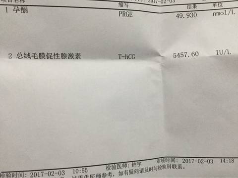 journal_insert_pic_663055065