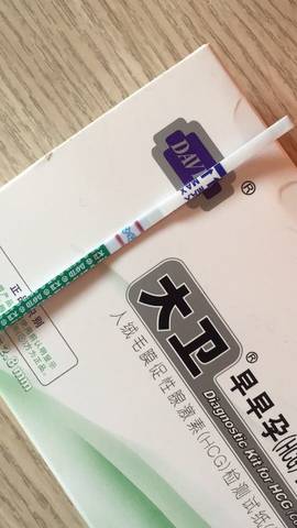 journal_insert_pic_663804369
