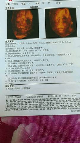 journal_insert_pic_663502245