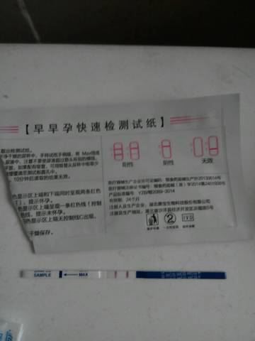 journal_insert_pic_666014092