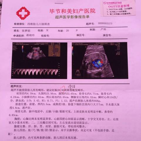 journal_insert_pic_666255863