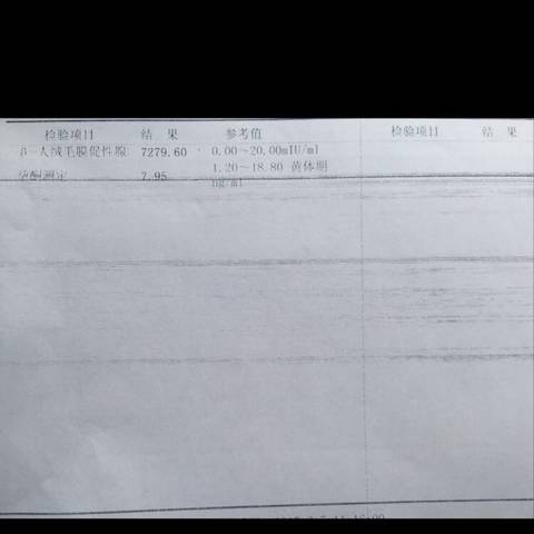 journal_insert_pic_666130498