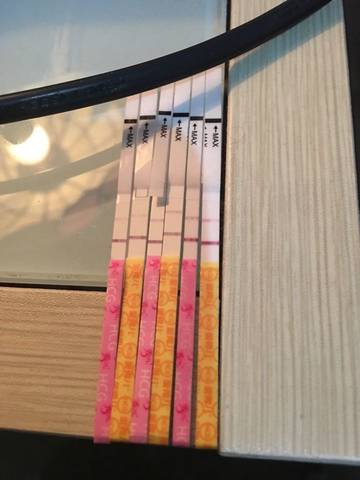 journal_insert_pic_667735095