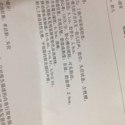 journal_insert_pic_667999382