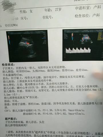 journal_insert_pic_667612661