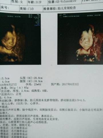 journal_insert_pic_668902582