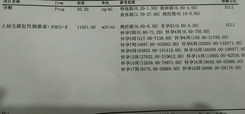 journal_insert_pic_670966487